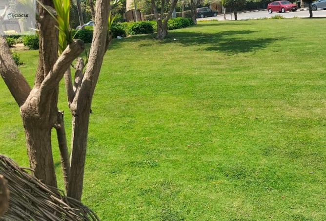 91572508 - الصورة الرئيسية للعقار