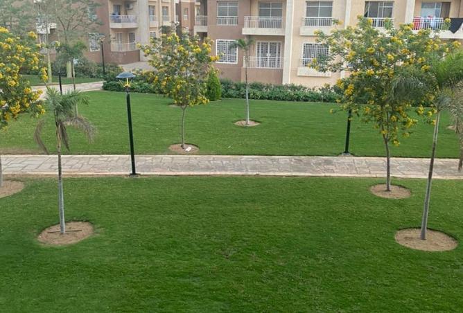 66954421 - صورة العقار 2