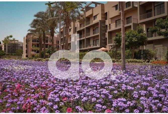 97711642 - الصورة الرئيسية للعقار