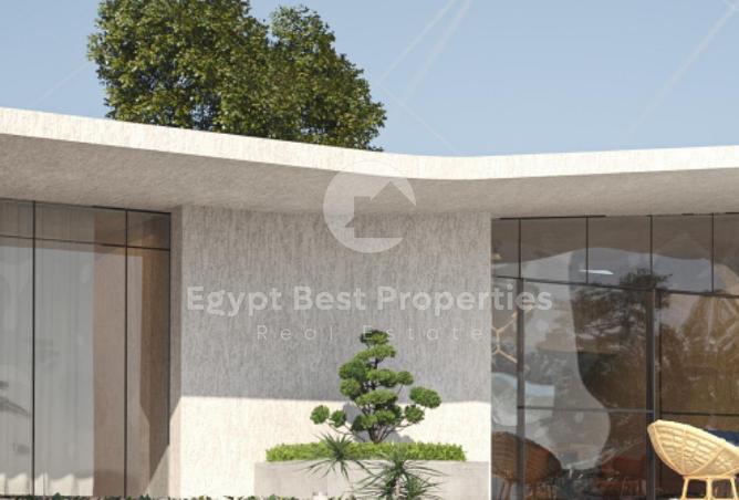 87211328 - Property Image 3