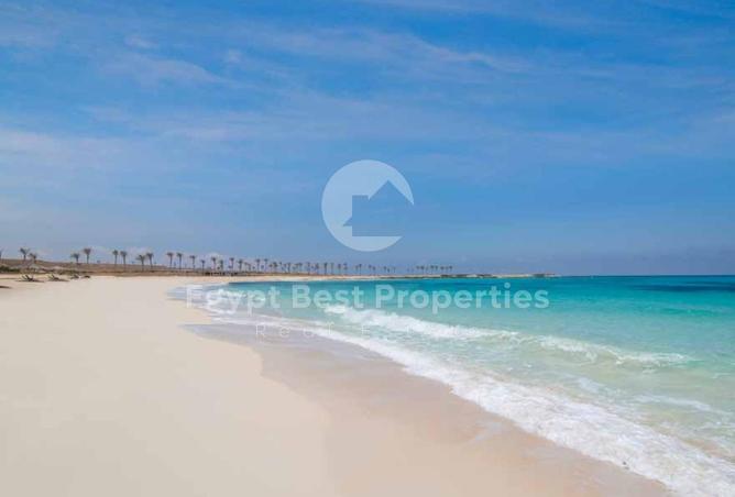 99118331 - Property Image 3