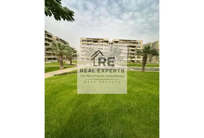 118038595 - Property Image 3