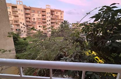 Apartment - 2 Bedrooms - 1 Bathroom for rent in B6 - Madinaty - Cairo