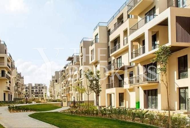 8597801 - Property Image 3