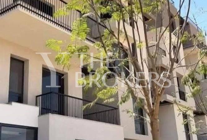 8597801 - Property Image 2