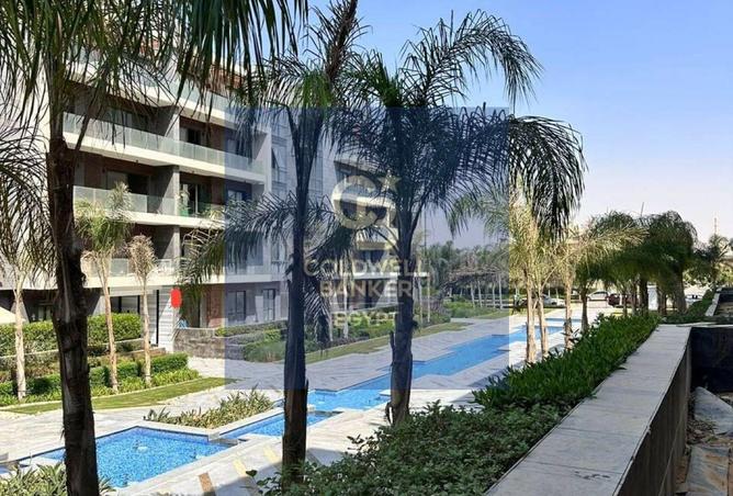 107401659 - Property Image 2