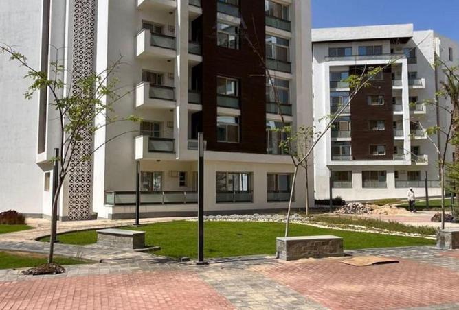 62645864 - Property Image 3