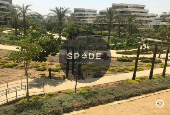 64905949 - صورة العقار 3