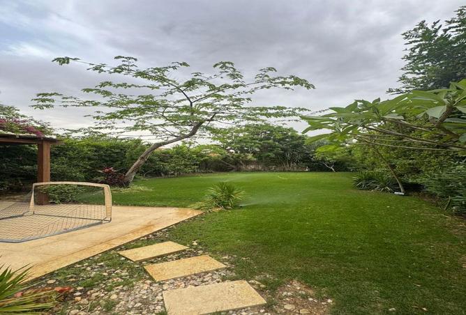 85049459 - صورة العقار 3