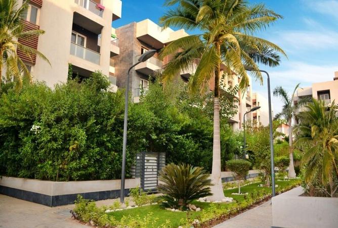 8556131 - Property Image 3