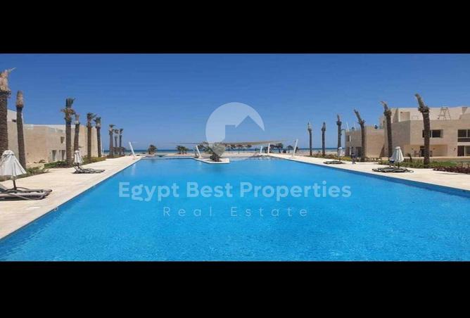 56250441 - Property Image 3