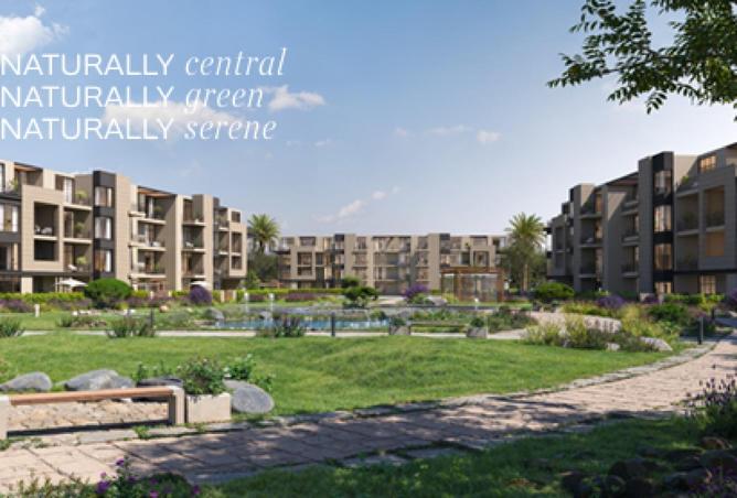 58995746 - Property Image 2