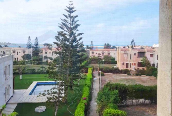 81299775 - صورة العقار 2