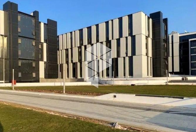 65164768 - Property Image 2