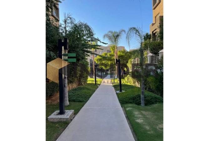 8534834 - Property Image 3