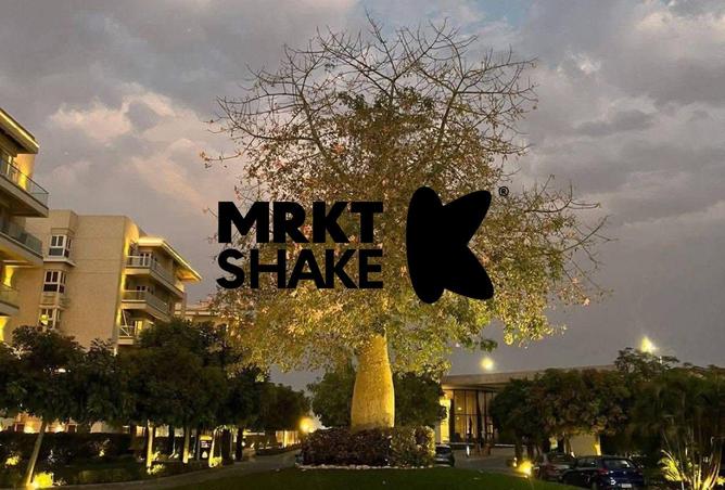 8522267 - Property Image 3