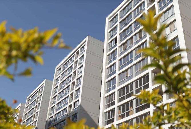 8520845 - Property Image 3