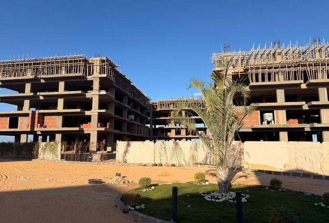 54500124 - Property Image 3