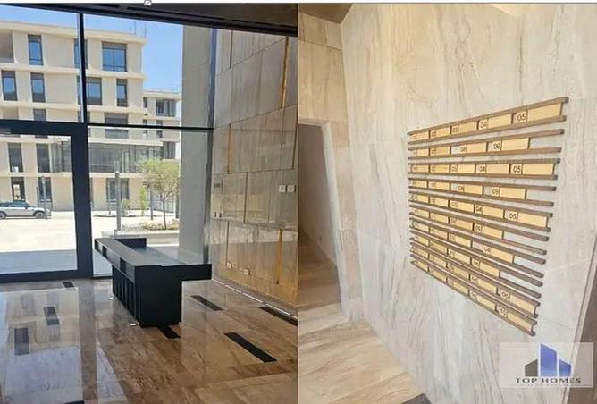 58743723 - Property Image 3