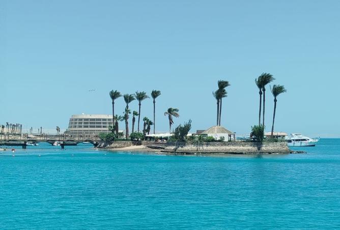 101781351 - صورة العقار 2