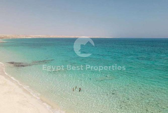 51418139 - صورة العقار 3