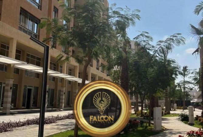 65154725 - Property Image 2