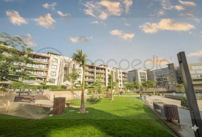 97428359 - صورة العقار 3