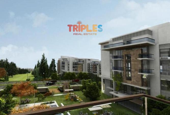 74591693 - Property Image 2
