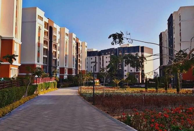 8541021 - صورة العقار 2