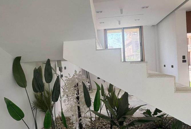 68800595 - Property Image 2