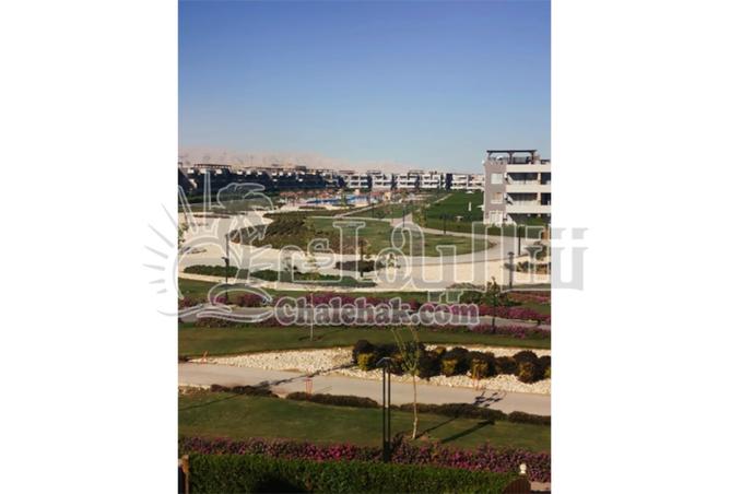 106849371 - الصورة الرئيسية للعقار