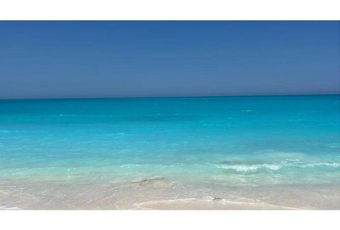 89243543 - صورة العقار 2