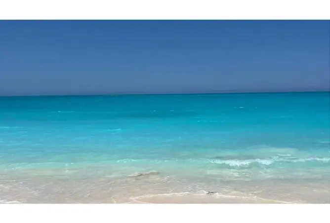89243543 - صورة العقار 2
