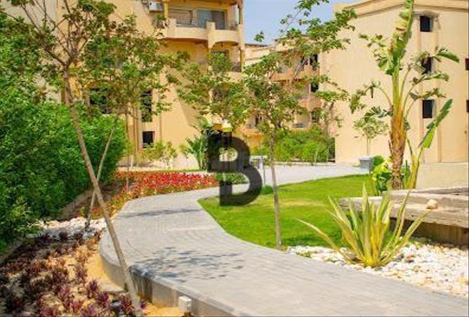 71918507 - الصورة الرئيسية للعقار