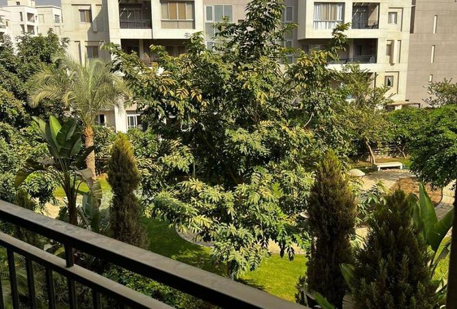 80255634 - صورة العقار 2