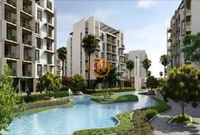 8718485 - Property Image 3