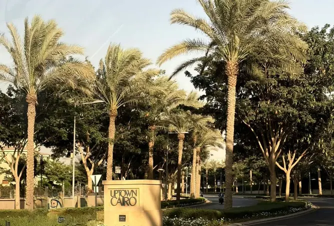 118293400 - صورة العقار 2