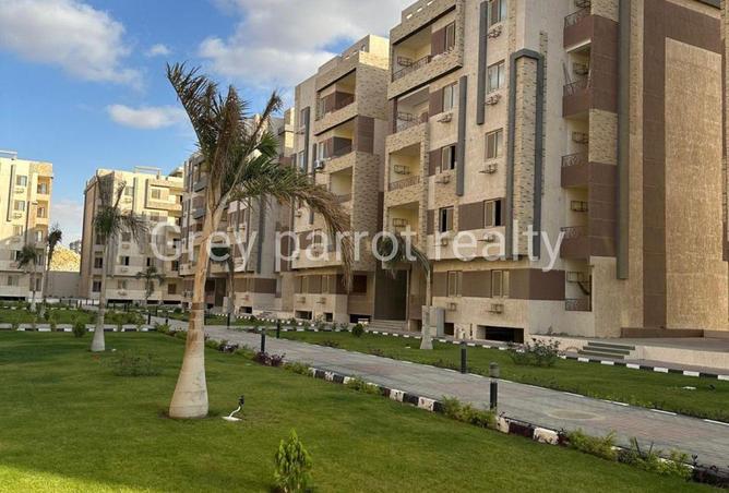 66439164 - Property Image 3