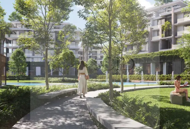 111604557 - Property Image 3