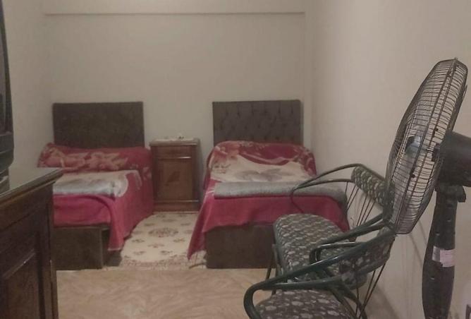 91013846 - Property Image 3