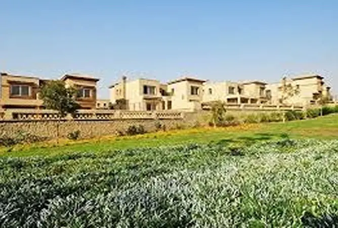 111318686 - صورة العقار 3