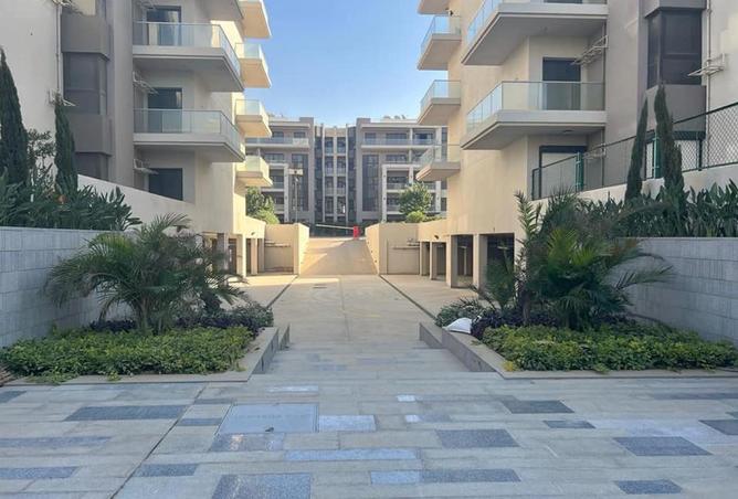 57242414 - Property Image 3