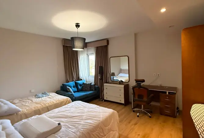 115976782 - Property Image 2