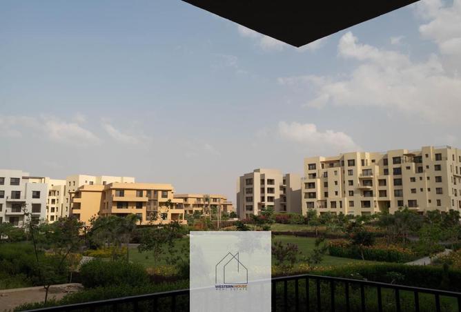 55992836 - صورة العقار 3