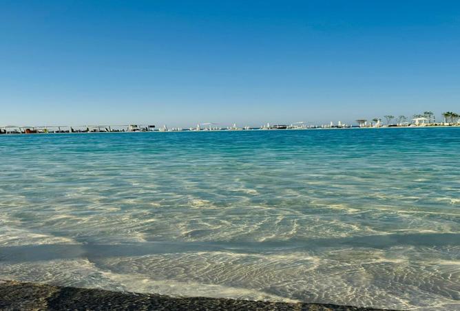 8421318 - Property Image 3