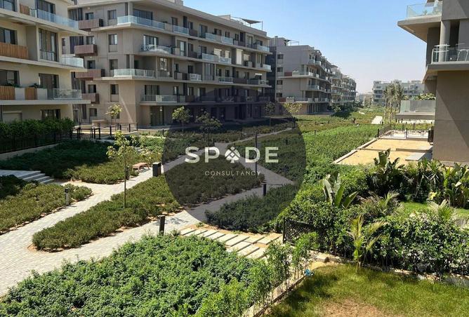 54493979 - Property Image 2