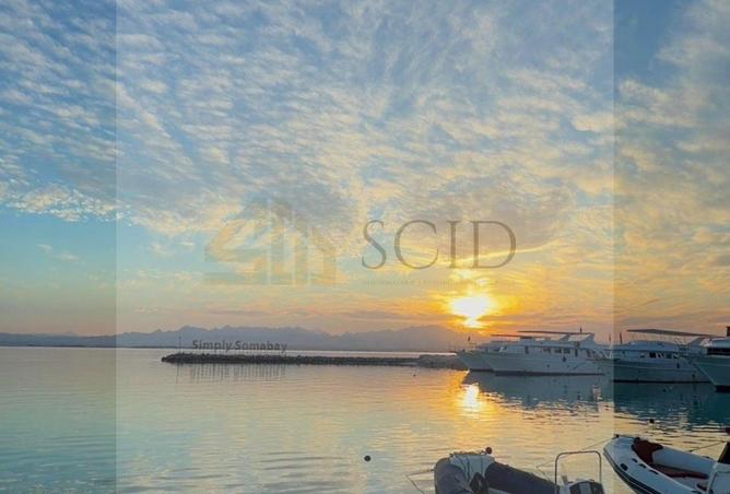 69579567 - صورة العقار 3