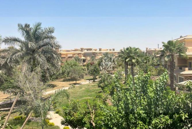 57995009 - صورة العقار 3