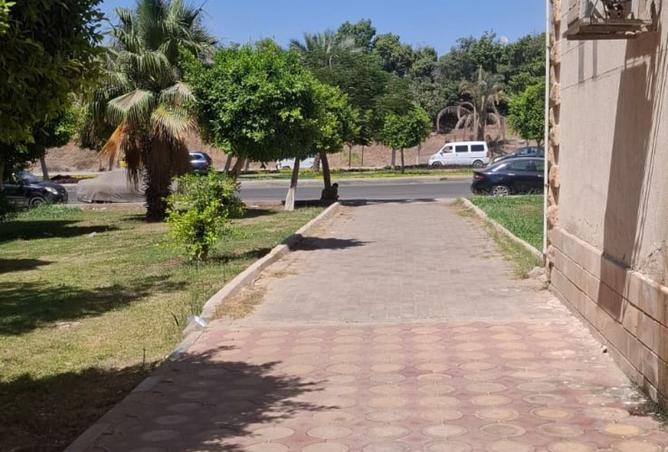 97992623 - صورة العقار 2