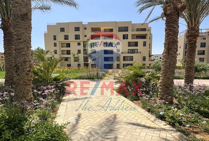 68785099 - Property Image 3